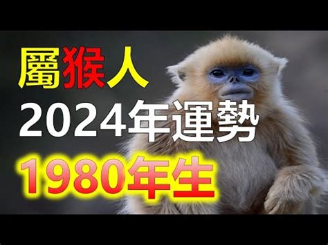 1980年農曆生肖|1980年（37歲）猴猴人的一生命運：老一輩人的話不。